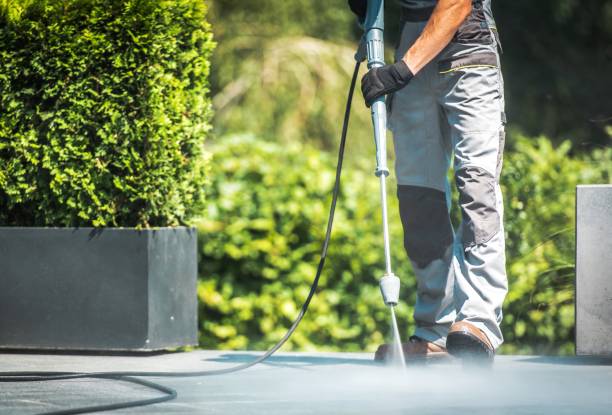 Reliable Lone Tree, IA Pressure Washing Solutions